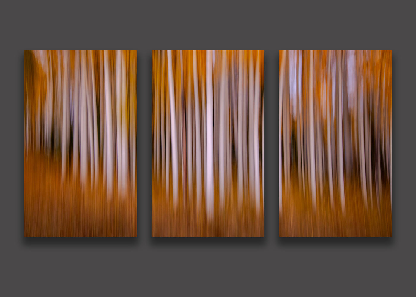 Dimensions of Autumn - Triptych