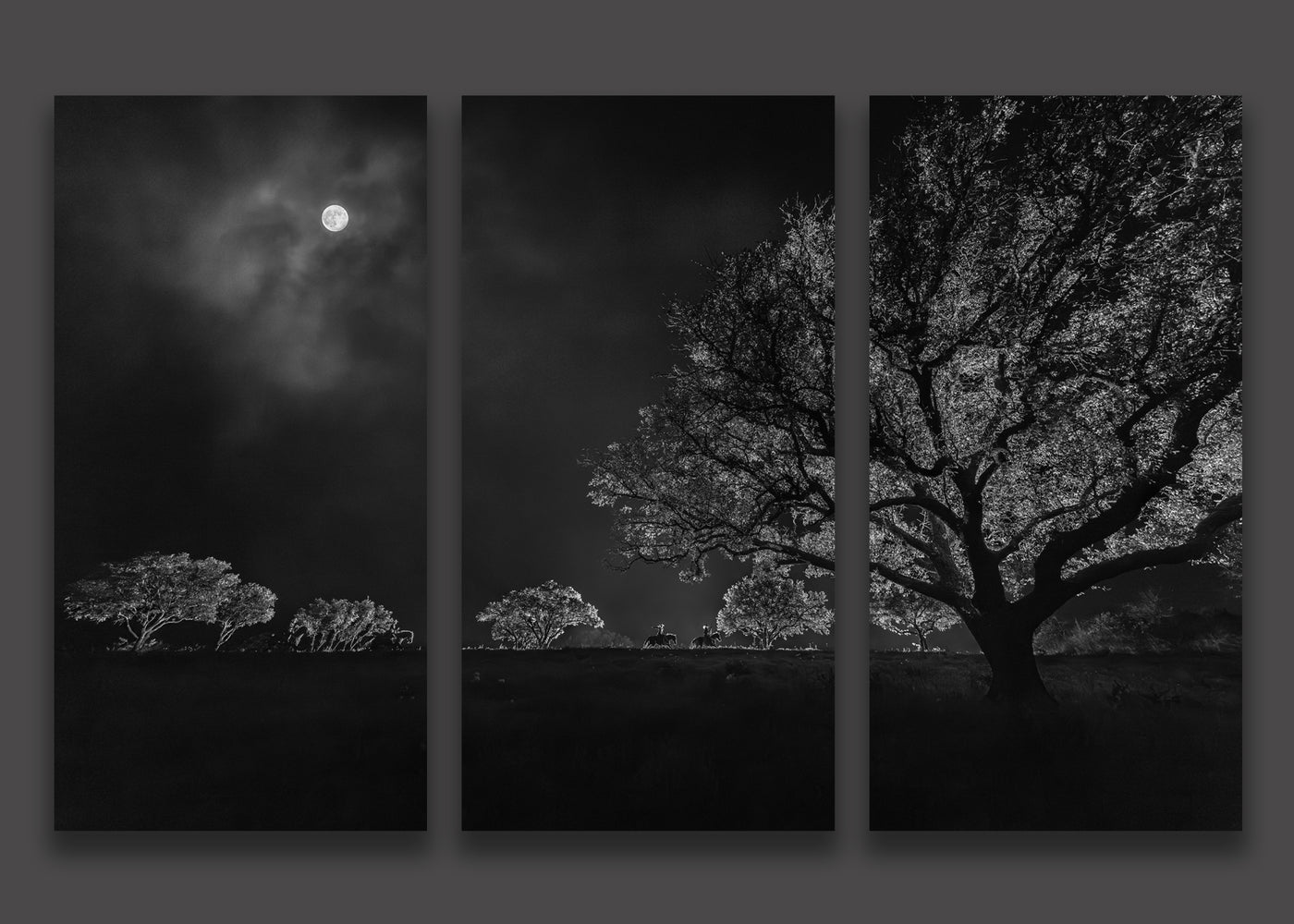 Outlaw Night - Triptych