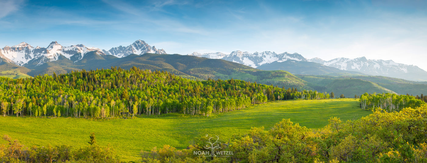 Dallas Divide Spring