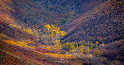 Valley of Autumn