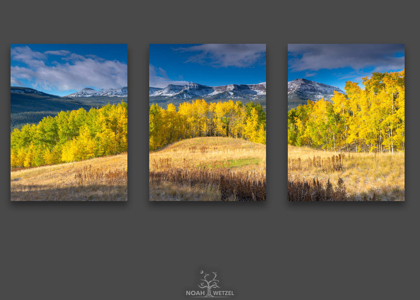 Alpine Mesa Autumn - Triptych