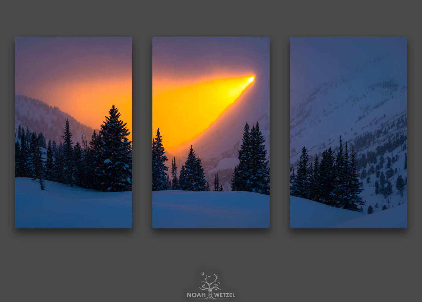 Burning Grizzly I - Triptych