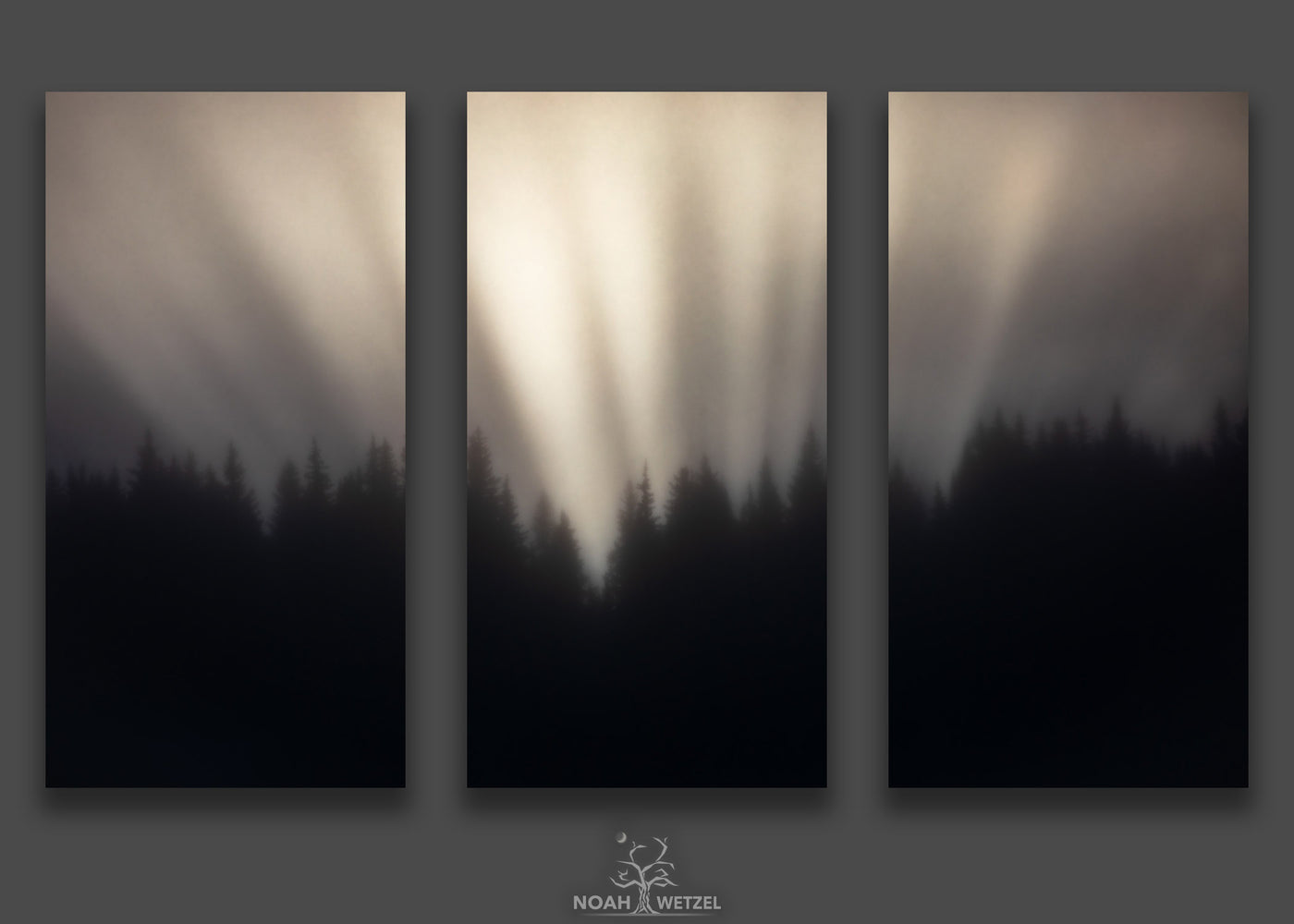 Snowbeams at Dawn - Triptych