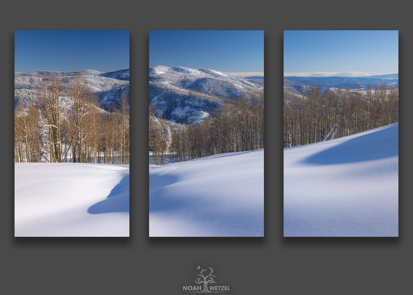 Winter Layers - Triptych