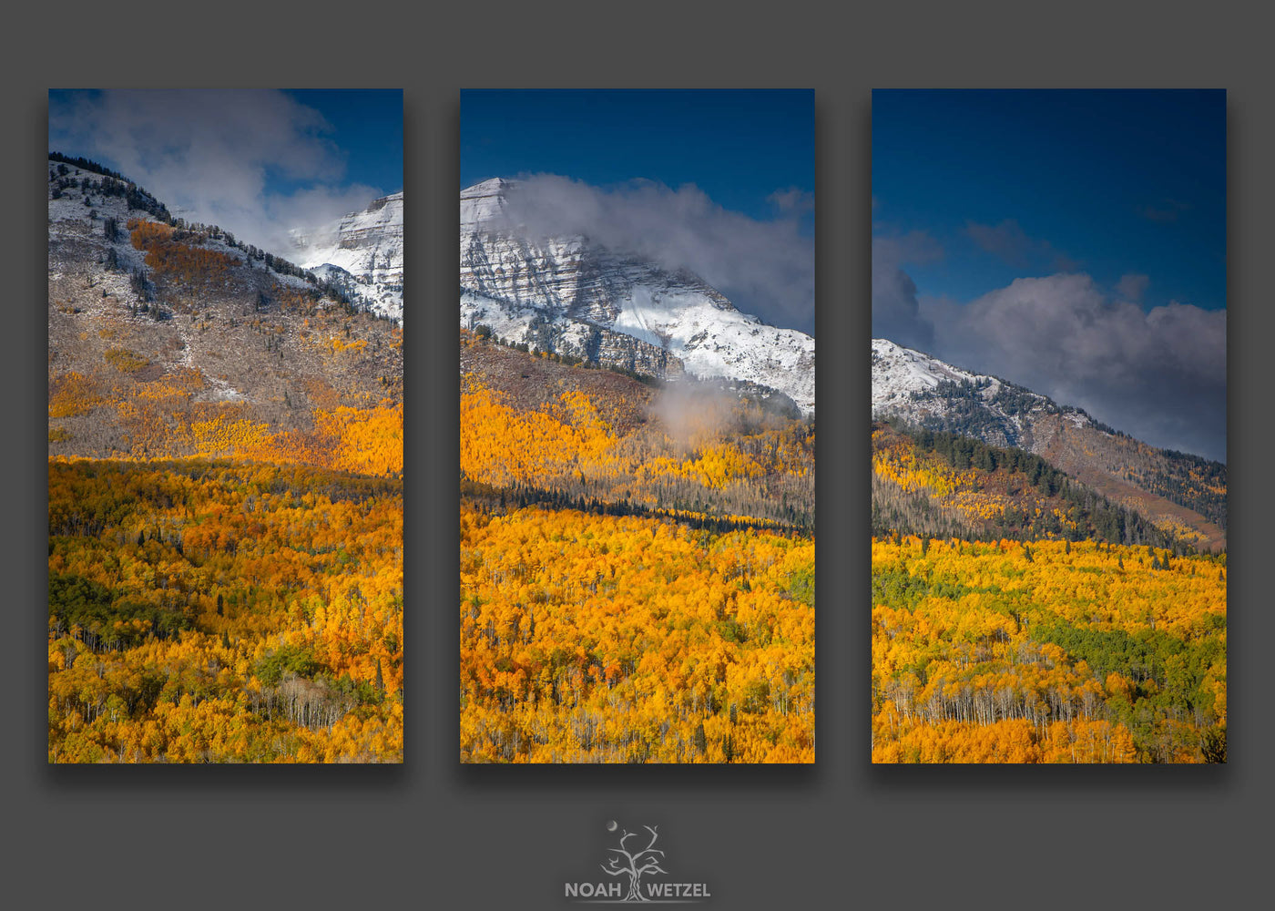 Winter Within Sight - Triptych